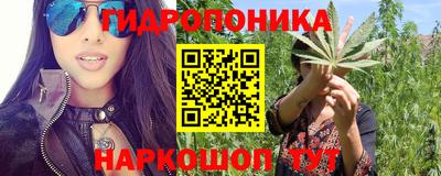 каннабис Кингисепп