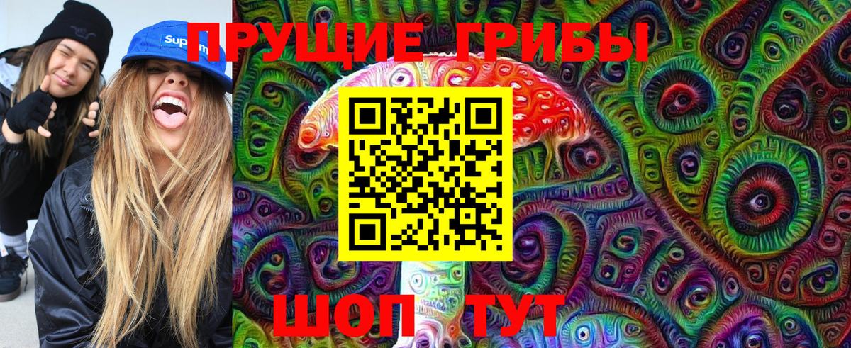 Галлюциногенные грибы Cubensis  Галлюциногенные грибы мицелий  Вход с VPN  Кудрово 