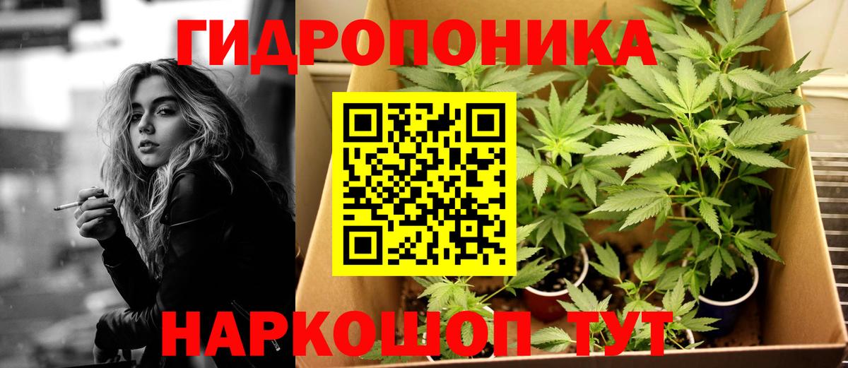 Каннабис марихуана  Вход с VPN  Кудрово  Канабис THC 21%  Каннабис семена 